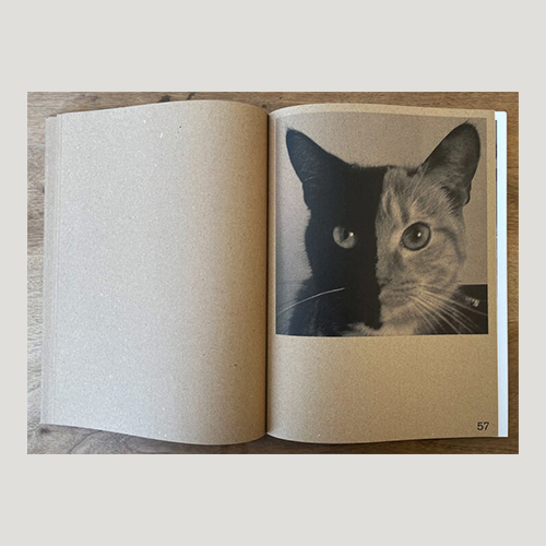 Melencolia Bernard Voïta - immagine 3